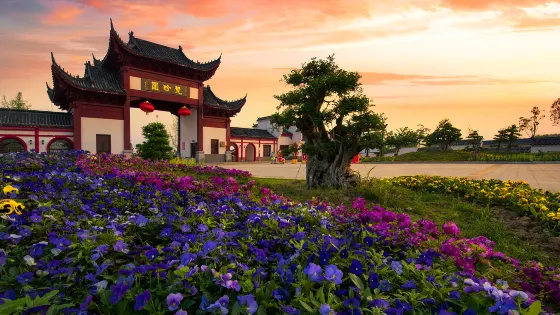 應城楚珍園