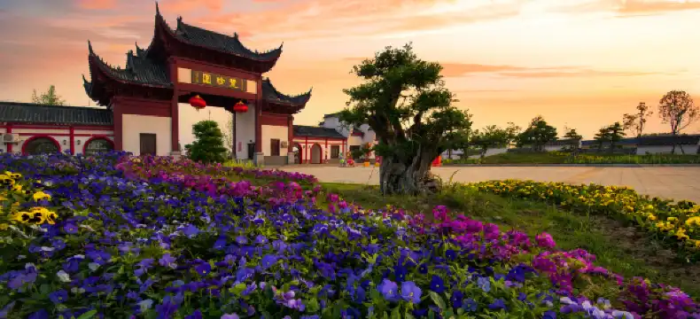 Echarm Properties in Yingcheng