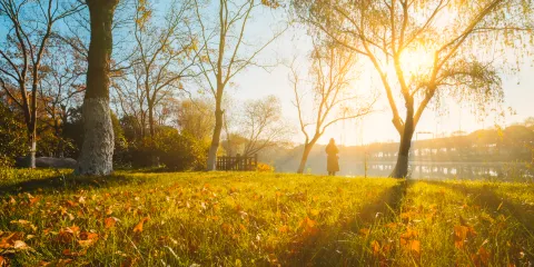 蘇州中國花卉植物園