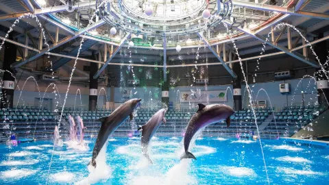 Maxell Aqua Park Shinagawa attraction in Tokyo