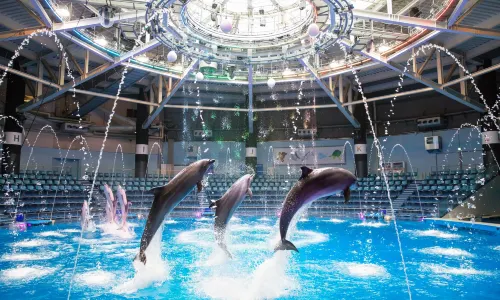 Maxell Aqua Park Shinagawa