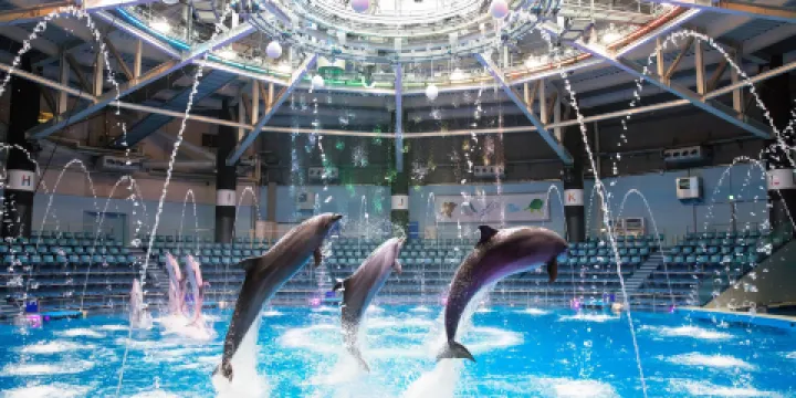 品川麥克賽爾水族館