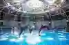Maxell Aqua Park Shinagawa Tickets [2026] - Promos, Prices