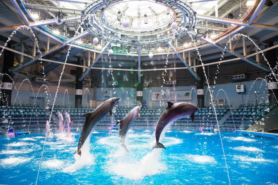1_品川麥克賽爾水族館