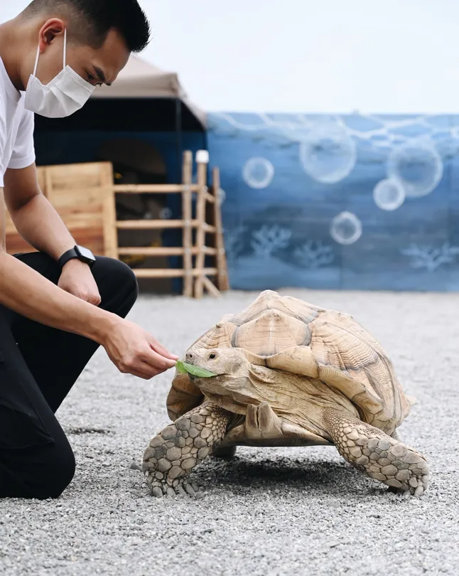 5_回巢 Homing 荒野沙漠農場園區