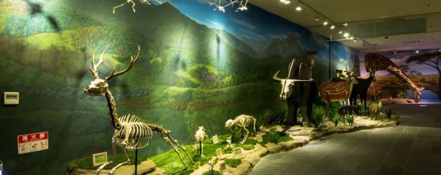 Tree Valley Life Science Museum