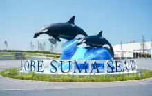 Kobe Suma Seaworld