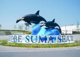 Kobe Suma Seaworld