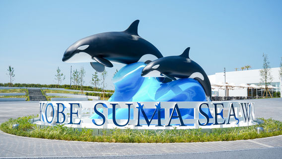 Kobe Suma Seaworld