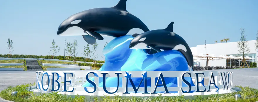 Kobe Suma Seaworld