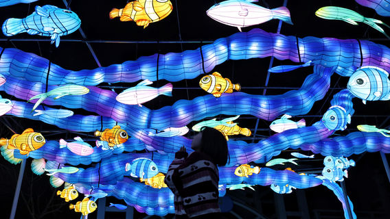 Tianjin Polar Ocean Resort