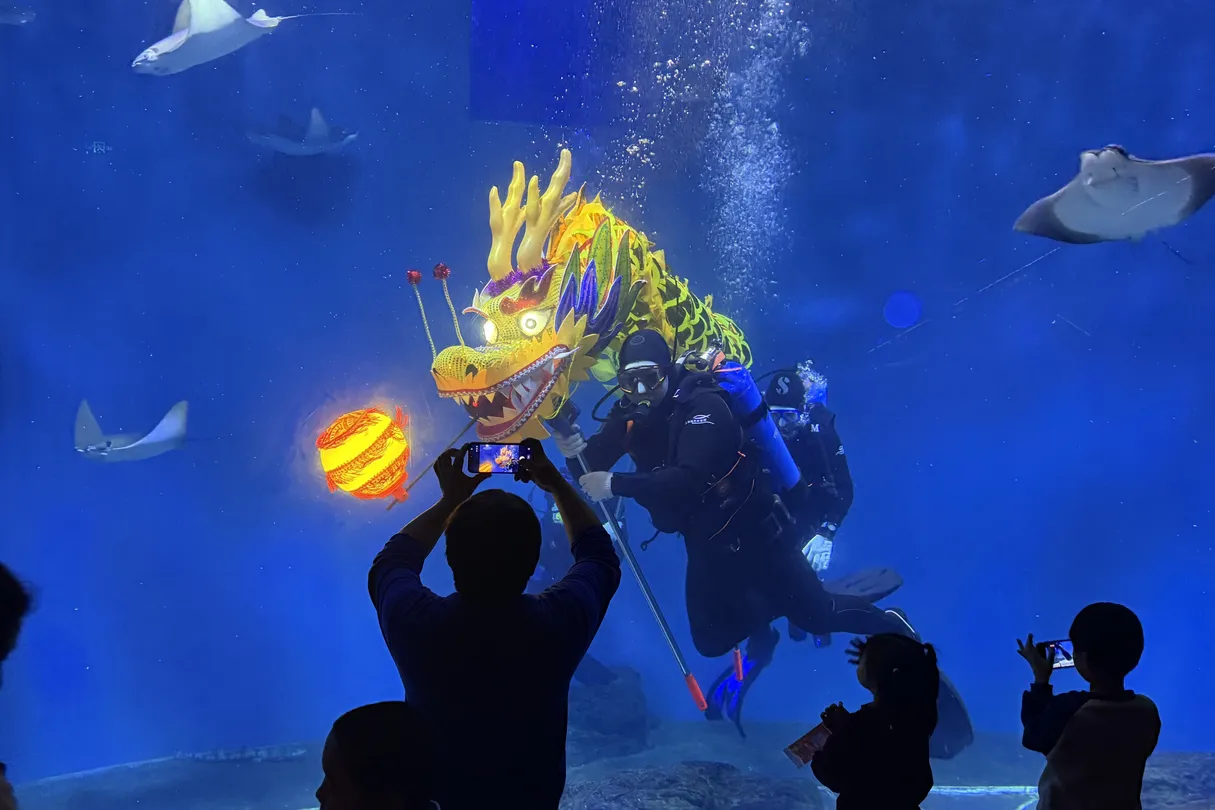 4_상하이 해양수족관