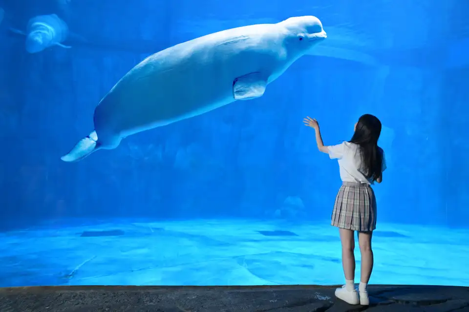 4_Xiaomeisha Sea World