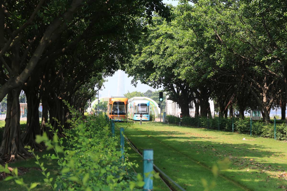 7. 🚋 Time Travel by Tram: Guangzhou’s Moving Postcard