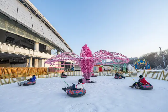 Shenyang Snow Tubing