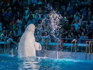 Dalian Laohutan Ocean Park