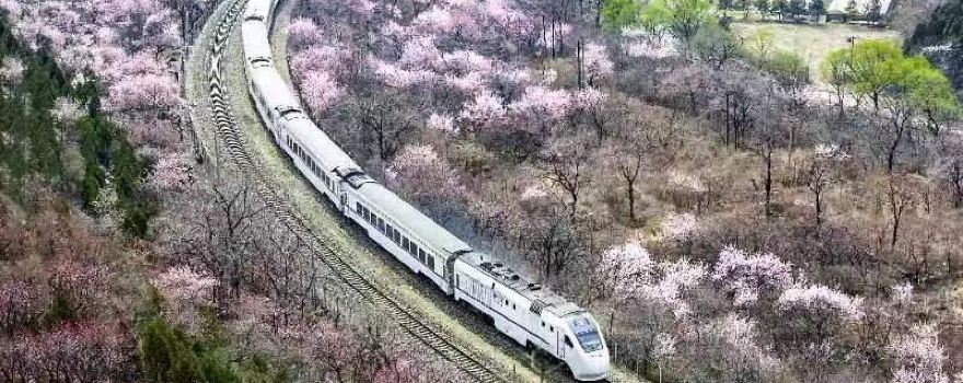 거용관장산