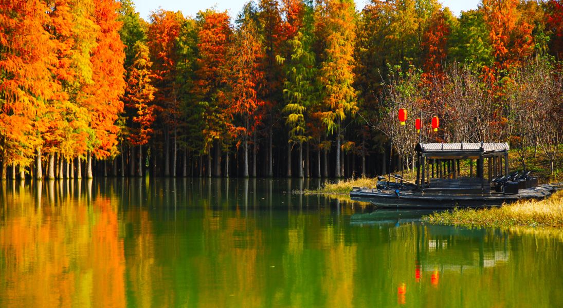 Shenzhen to Xiantao Flights