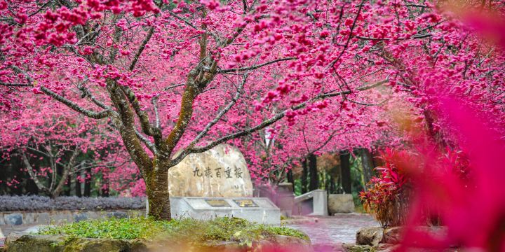 Formosan Aboriginal Culture Village