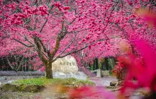 Formosan Aboriginal Culture Village