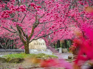Formosan Aboriginal Culture Village