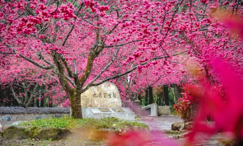 Formosan Aboriginal Culture Village