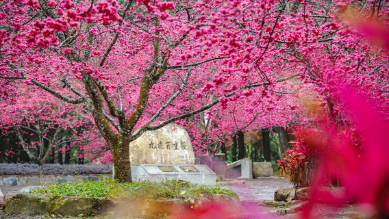 Formosan Aboriginal Culture Village