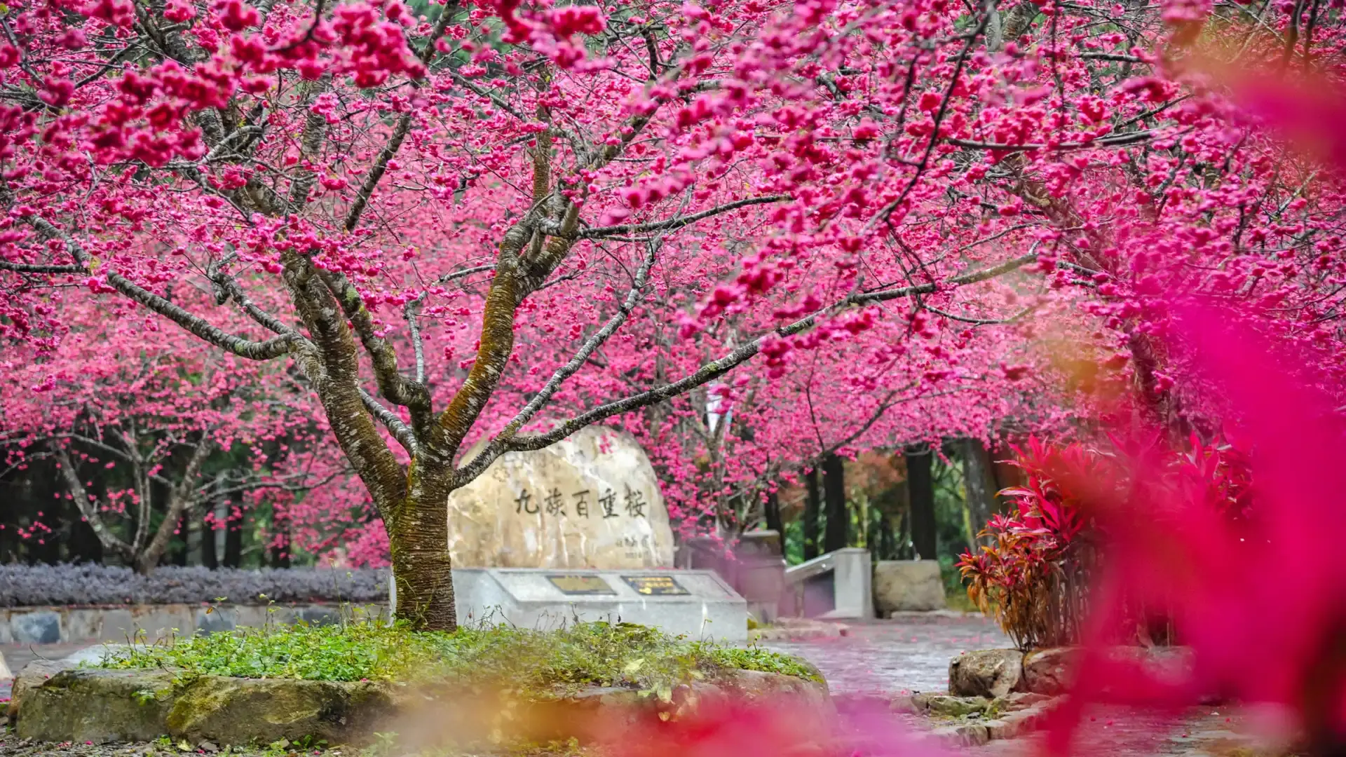 Hotels near Formosan Aboriginal Culture Village