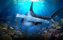 Singapore Oceanarium