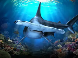Singapore Oceanarium