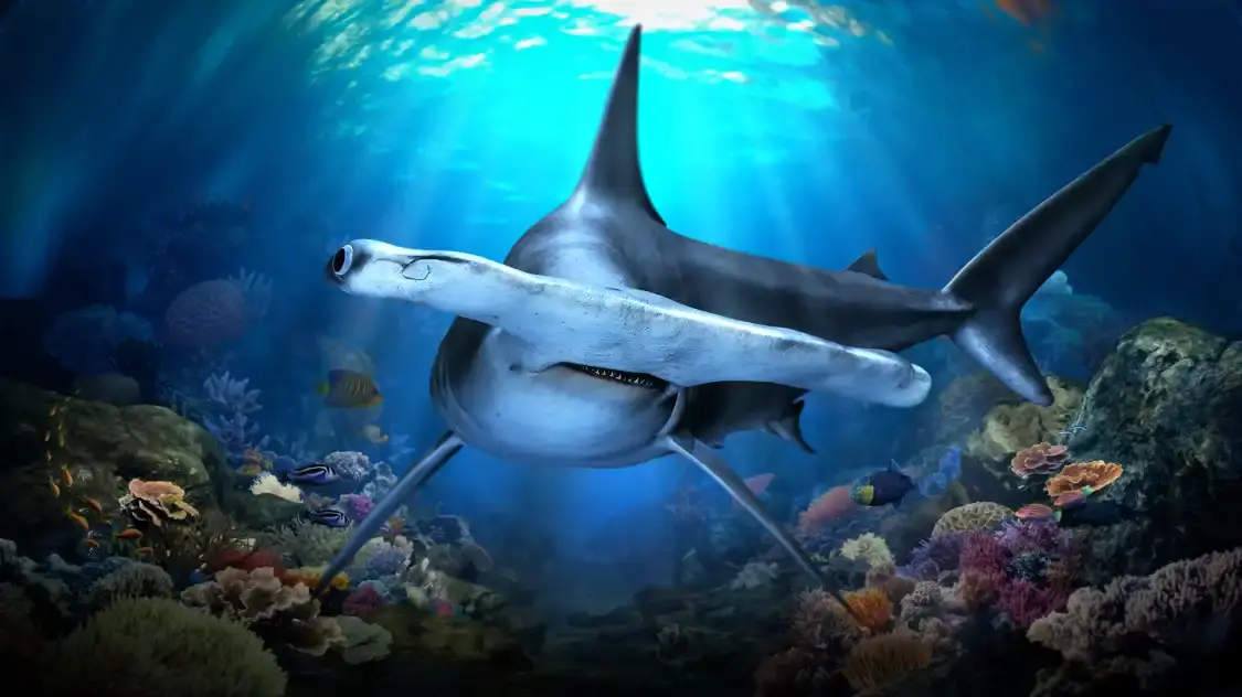 Hotels near Singapore Oceanarium