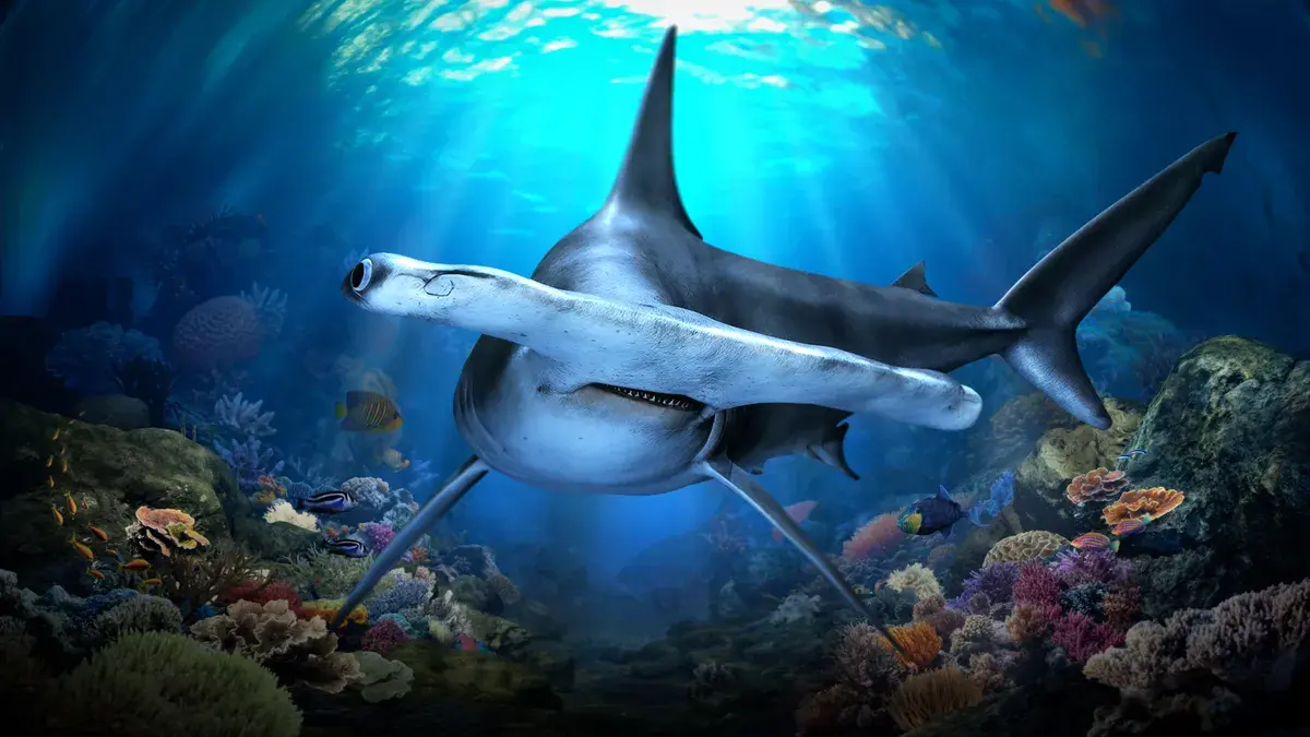 Singapore Oceanarium
