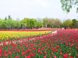 สวนนิทรรศการสีเขียวของจีน