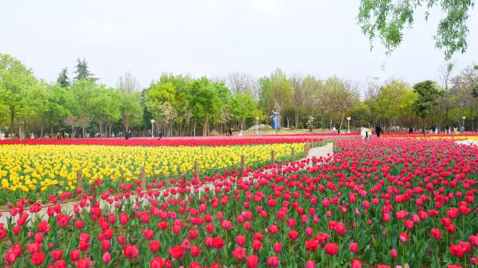 3_สวนนิทรรศการสีเขียวของจีน