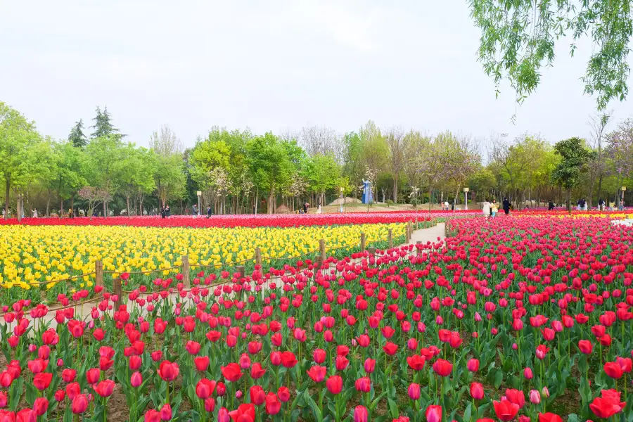 南京中国緑化博覧園（南京・中国グリーンエキスポ・ガーデン）