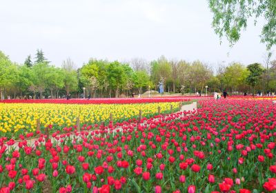 Green Exhibition Garden