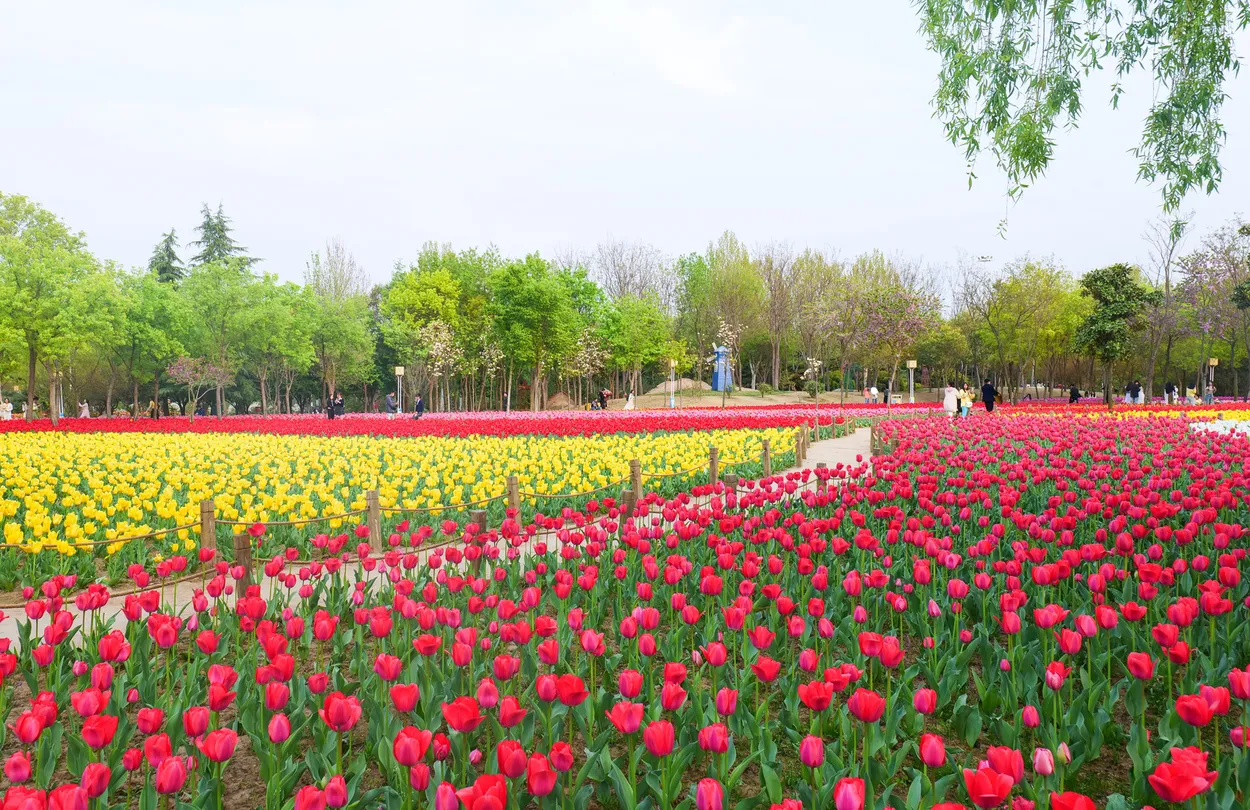 3_สวนนิทรรศการสีเขียวของจีน