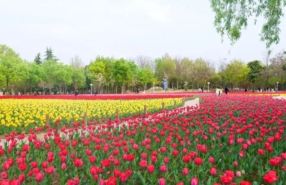 3_สวนนิทรรศการสีเขียวของจีน
