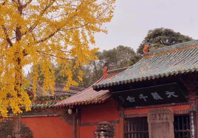 Langzhong Ancient Town