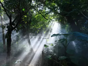 アモイ園林植物園