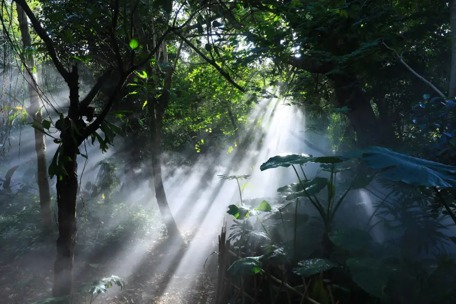 Xiamen Botanical Garden