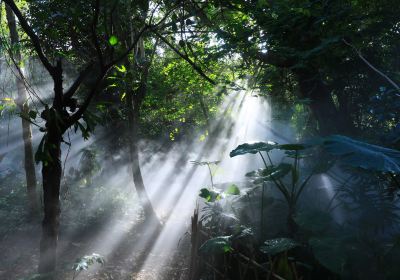 Xiamen Botanical Garden