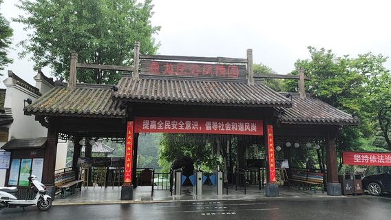 Chinese Dragon Paradise