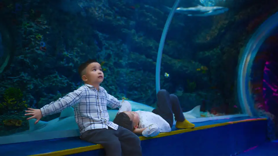 2_Guanlan Ocean World
