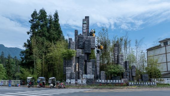 Bifeng Gorge Scenic Area
