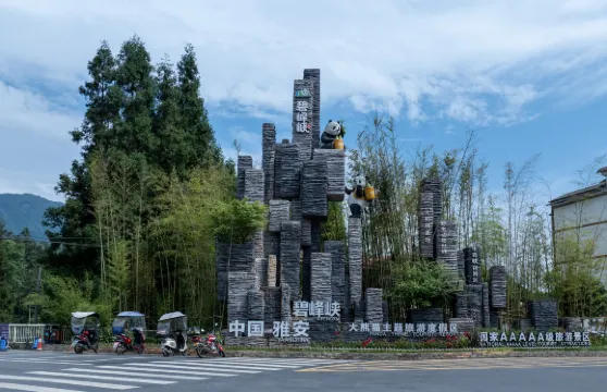 碧峰峽生態峽谷景區門票(含大熊貓基地+大巴觀光車+電梯)成人