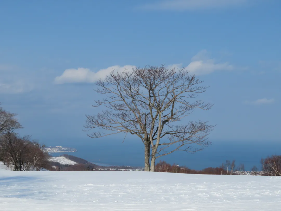4_Asarigawaonsen Ski Resort