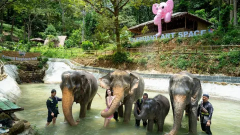 Patong Elephant Hug attraction in Phuket