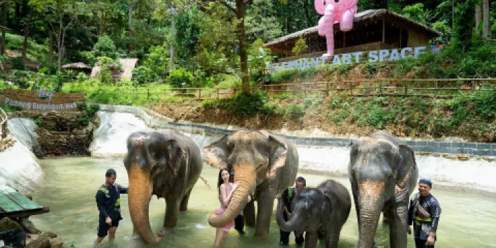 芭東擁抱大象保護營