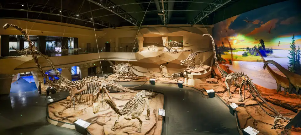 4_Zigong Dinosaur Museum
